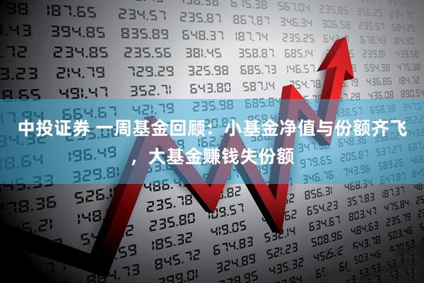 中投证券 一周基金回顾：小基金净值与份额齐飞，大基金赚钱失份额