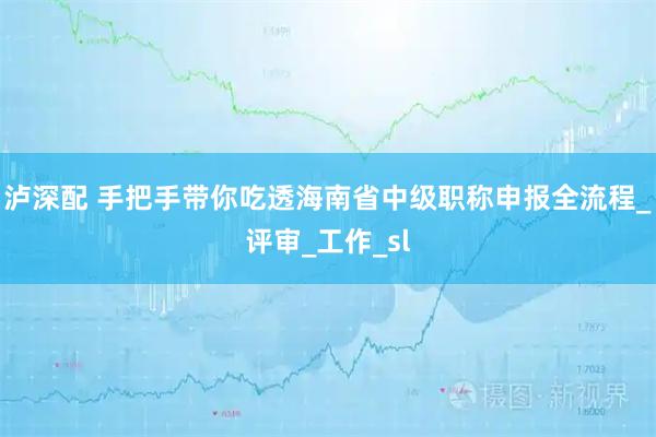 泸深配 手把手带你吃透海南省中级职称申报全流程_评审_工作_sl