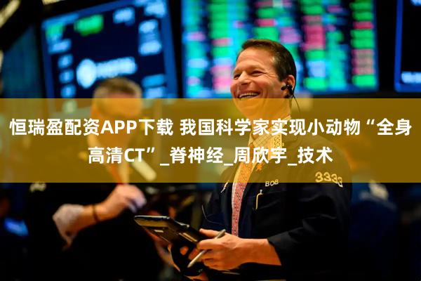 恒瑞盈配资APP下载 我国科学家实现小动物“全身高清CT”_脊神经_周欣宇_技术