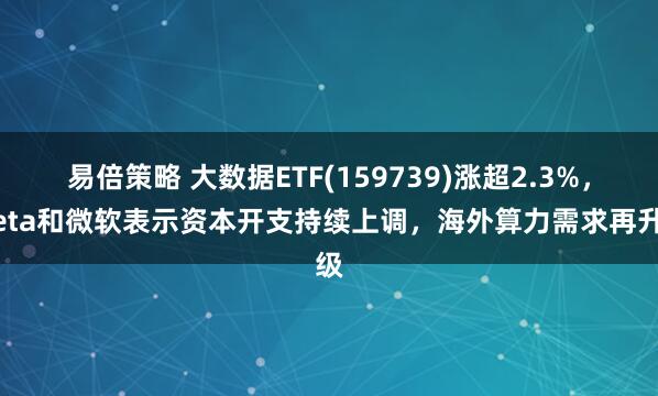 易倍策略 大数据ETF(159739)涨超2.3%，Meta和微软表示资本开支持续上调，海外算力需求再升级
