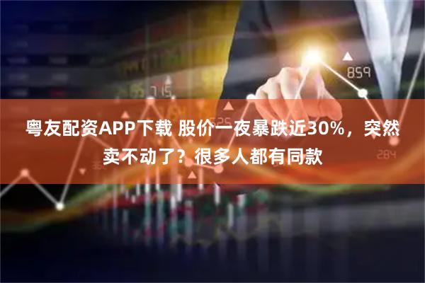 粤友配资APP下载 股价一夜暴跌近30%,突然卖不动了?很多人都有同款